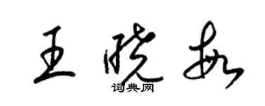 梁錦英王曉敏草書個性簽名怎么寫