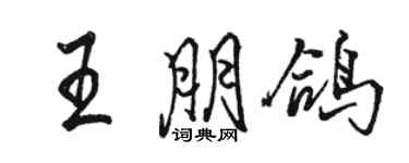 駱恆光王朋鴿行書個性簽名怎么寫