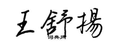 王正良王舒揚行書個性簽名怎么寫