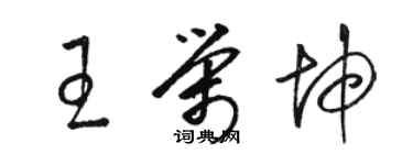 駱恆光王榮坤草書個性簽名怎么寫