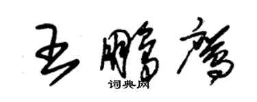 朱錫榮王鵬鷹草書個性簽名怎么寫