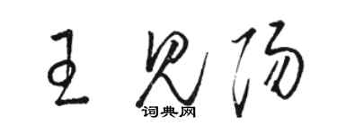 駱恆光王見陽草書個性簽名怎么寫