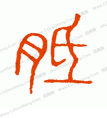 說文解字寫的胝