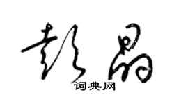 梁錦英彭晶草書個性簽名怎么寫