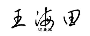 梁錦英王海田草書個性簽名怎么寫