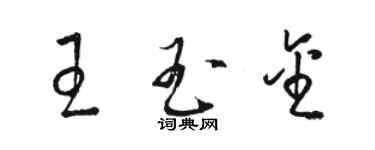 駱恆光王玉金草書個性簽名怎么寫