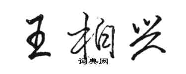 駱恆光王柏興行書個性簽名怎么寫