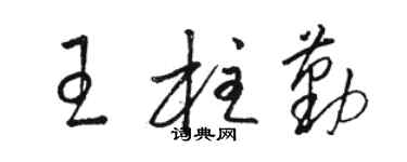 駱恆光王柱勤草書個性簽名怎么寫