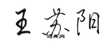 駱恆光王蘇陽行書個性簽名怎么寫