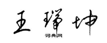 梁錦英王瑞坤草書個性簽名怎么寫