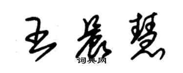 朱錫榮王晨慧草書個性簽名怎么寫