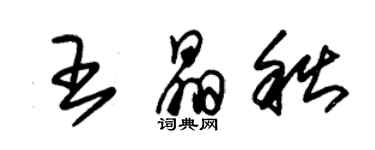 朱錫榮王晶秋草書個性簽名怎么寫
