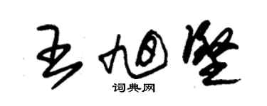 朱錫榮王旭堅草書個性簽名怎么寫