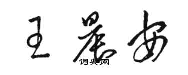 駱恆光王晨安草書個性簽名怎么寫