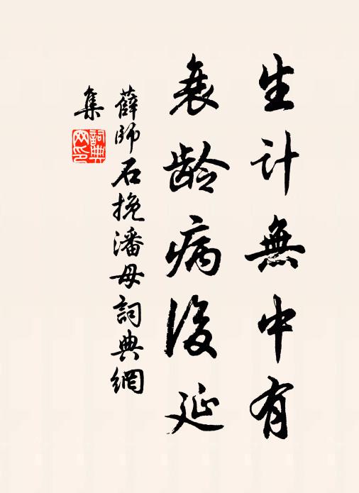 薛師石生計無中有,衰齡病後延書法作品欣賞