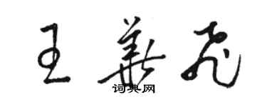 駱恆光王華飛草書個性簽名怎么寫