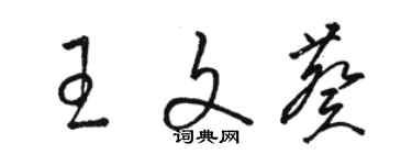 駱恆光王文葵草書個性簽名怎么寫