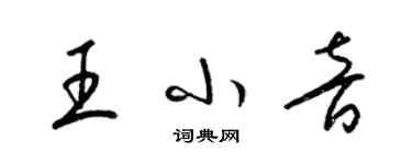 梁錦英王小音草書個性簽名怎么寫