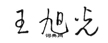 駱恆光王旭光草書個性簽名怎么寫