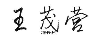 駱恆光王茂營行書個性簽名怎么寫
