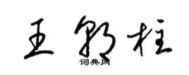 梁錦英王朝柱草書個性簽名怎么寫