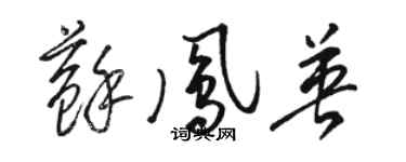駱恆光蘇鳳英草書個性簽名怎么寫
