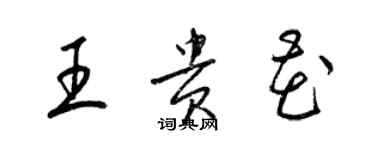 梁錦英王貴花草書個性簽名怎么寫