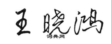 駱恆光王曉鴻行書個性簽名怎么寫
