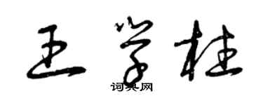 曾慶福王學柱草書個性簽名怎么寫