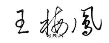 駱恆光王梅鳳草書個性簽名怎么寫