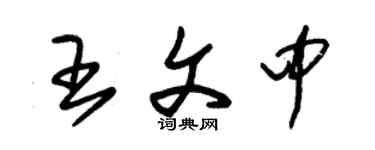 朱錫榮王文中草書個性簽名怎么寫