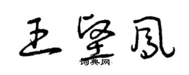 曾慶福王堅鳳草書個性簽名怎么寫