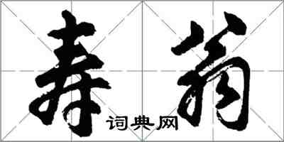 胡問遂壽翁行書怎么寫