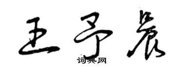 曾慶福王予晨草書個性簽名怎么寫