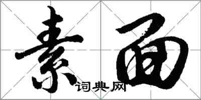 胡問遂素麵行書怎么寫