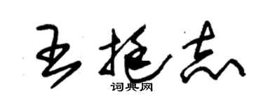 朱錫榮王挺志草書個性簽名怎么寫