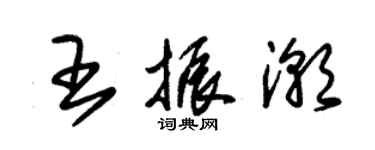 朱錫榮王振潮草書個性簽名怎么寫