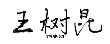 曾慶福王樹昆行書個性簽名怎么寫