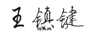 駱恆光王鎮鍵行書個性簽名怎么寫