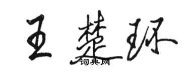 駱恆光王楚環行書個性簽名怎么寫