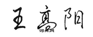 駱恆光王高陽行書個性簽名怎么寫