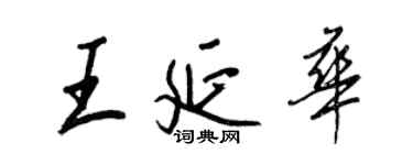 王正良王延華行書個性簽名怎么寫