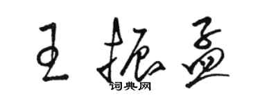 駱恆光王振孟草書個性簽名怎么寫