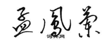 駱恆光孟鳳蘭草書個性簽名怎么寫