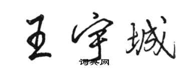 駱恆光王宇城行書個性簽名怎么寫