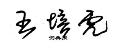 朱錫榮王培虎草書個性簽名怎么寫