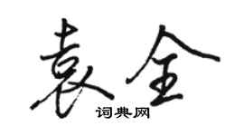 駱恆光袁全行書個性簽名怎么寫