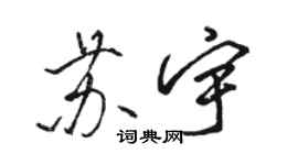 駱恆光蘇宇行書個性簽名怎么寫