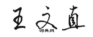 駱恆光王文直行書個性簽名怎么寫