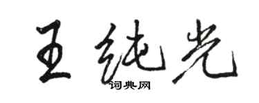 駱恆光王純光行書個性簽名怎么寫